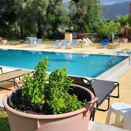 Corfu Paloma *
