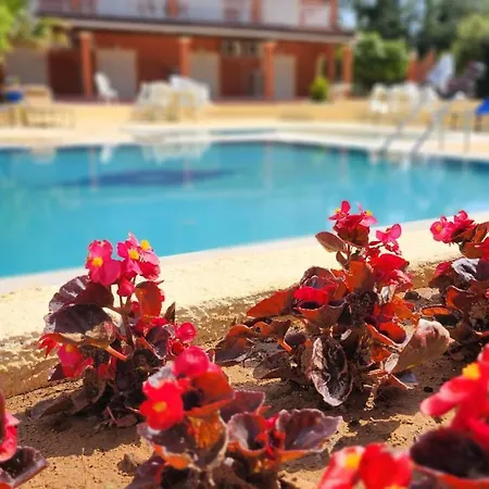 Corfu Paloma Lejlighed