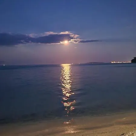 Corfu Paloma *